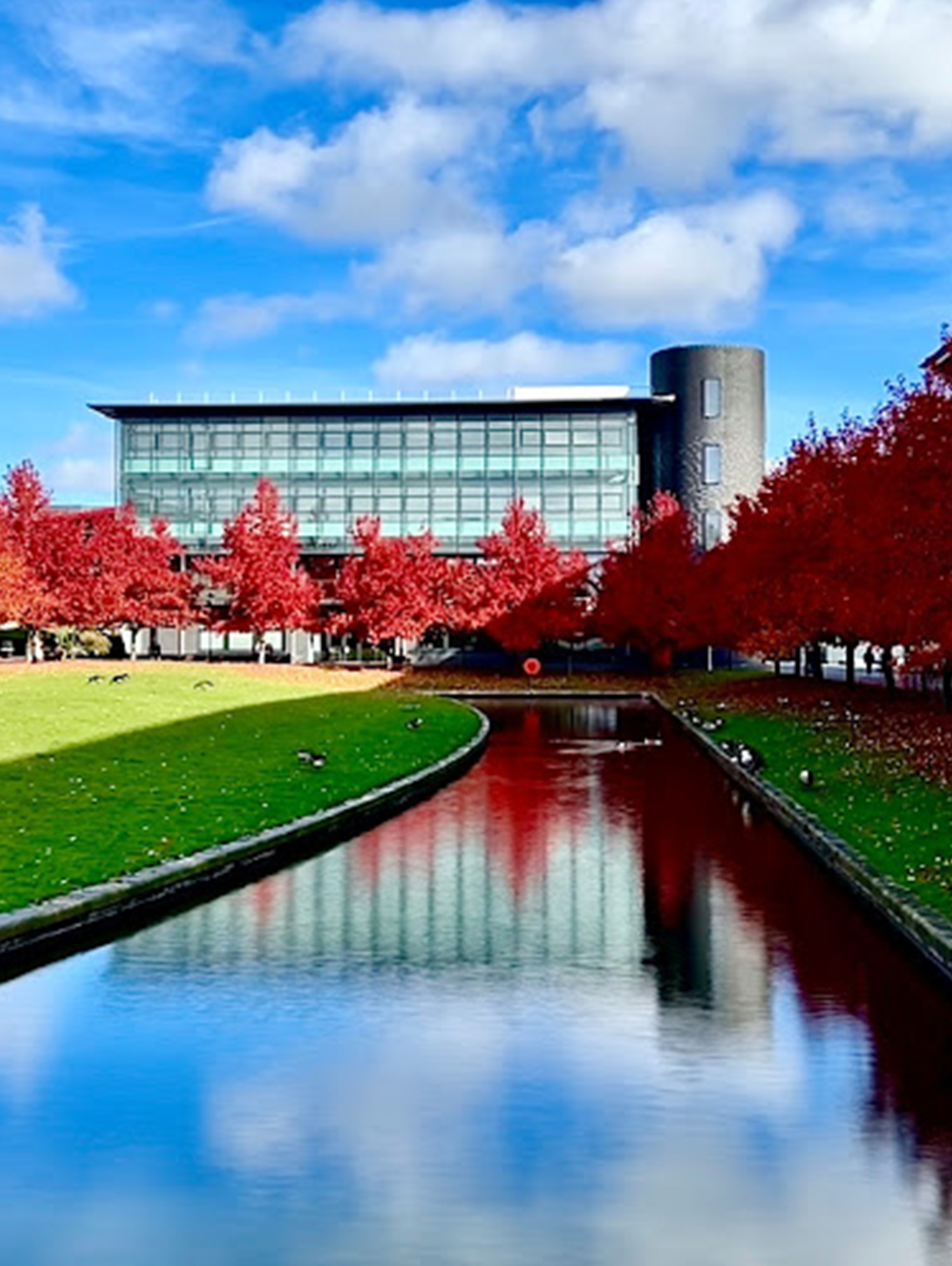 The University of Warwick